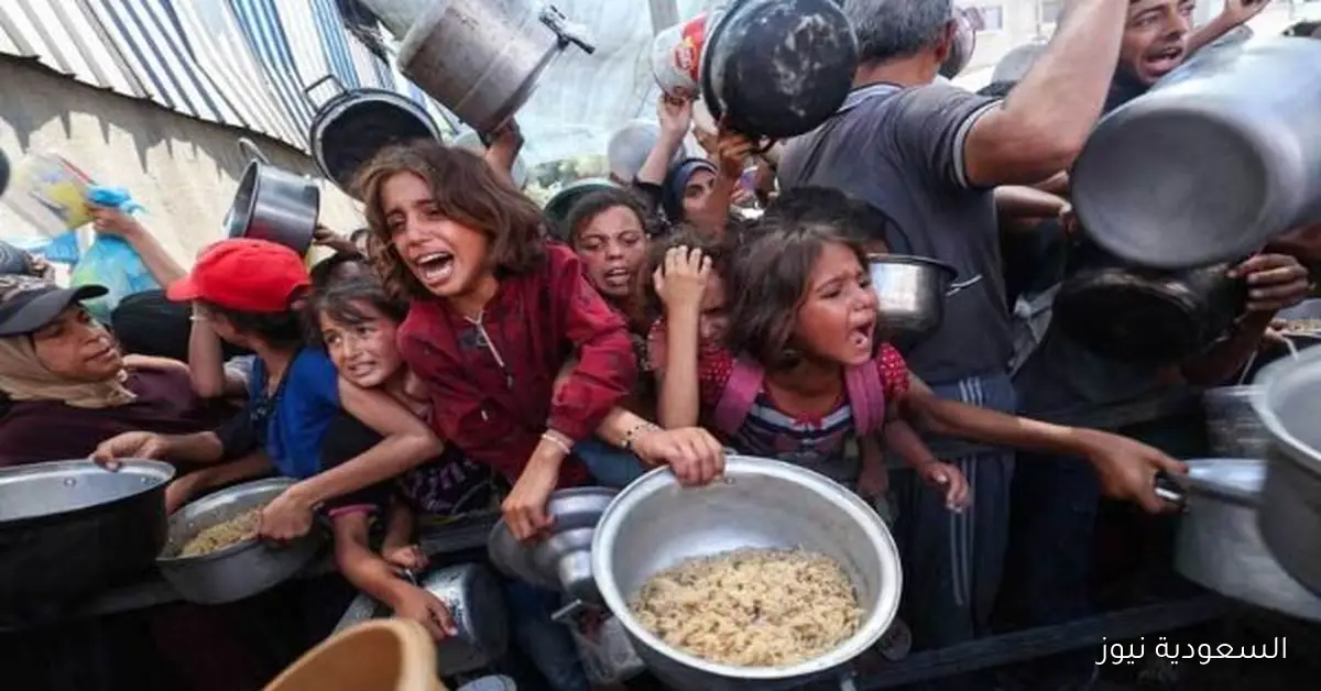 الأونروا تستمر في تقديم المساعدات الحيوية في غزة رغم الحرب والمجاعة