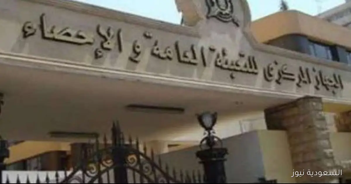 الإحصاءات تشير إلى زيادة توقعات البقاء على قيد الحياة في مصر 2025