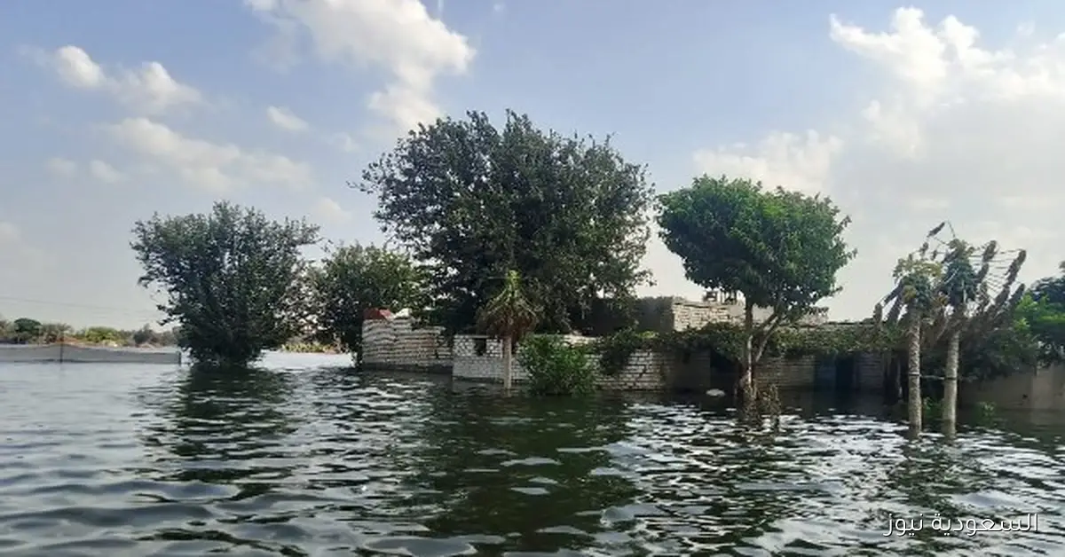 التعدي على أراضى طرح النهر يؤثر سلباً على توصيل المياه للملايين