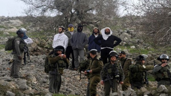 الخارجية الفلسطينية تندد باعتداءات المستوطنين على المواطنين والمتضامنين خلال موسم قطف الزيتون