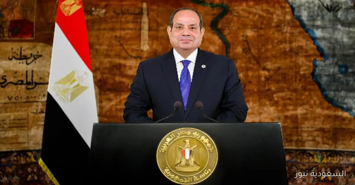 الرئيس السيسي يؤكد: الأمن والاستقرار يتحققان فقط من خلال سلام عادل وشامل