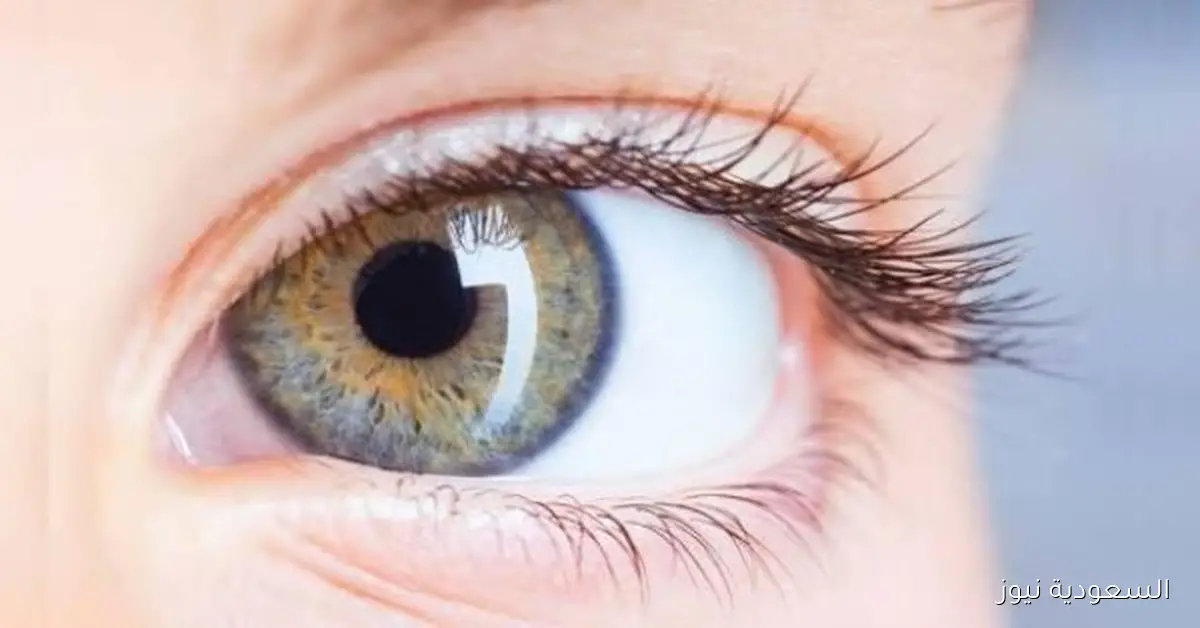 الصحة تطلق ضوابط جديدة لاستيراد قرنيات العيون لضمان الجودة والأمان العالية