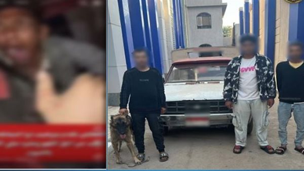 القبض على المتهمين بترهيب شخص من ذوي الاحتياجات الخاصة بكلب في سيارة ربع نقل بالفيوم