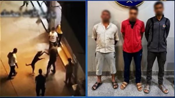 القبض على المتهمين بسحل كلب في القليوبية بعد ربطه من عنقه