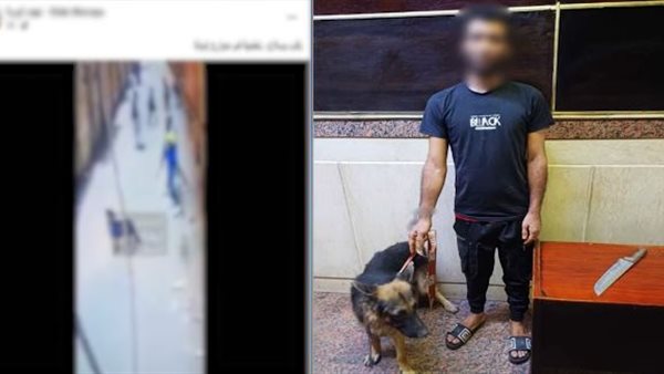 القبض على شاب بتهمة البلطجة مع كلب في الجيزة