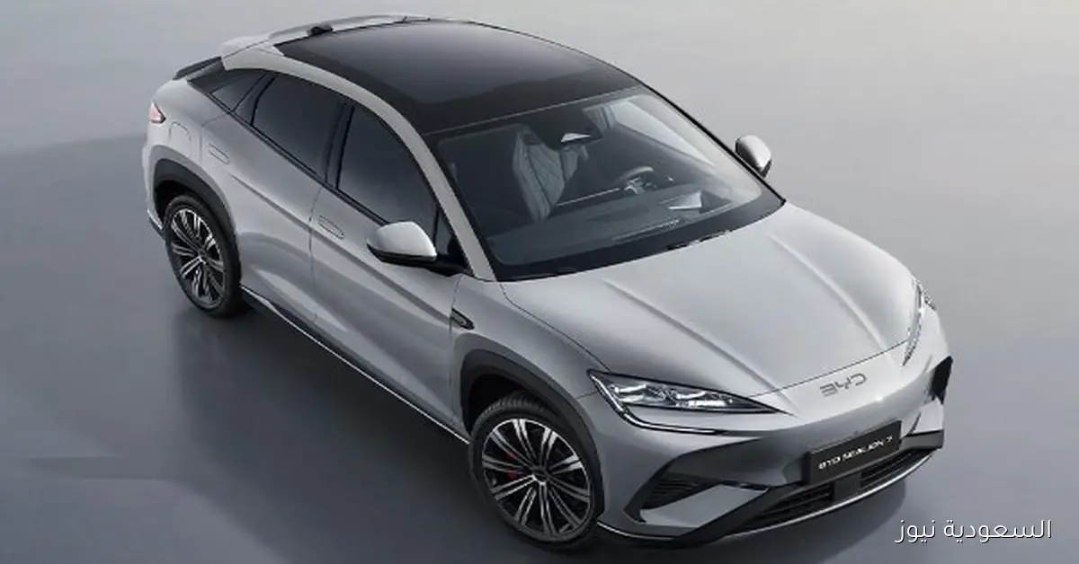 انخفاض تسليمات BYD للسيارات الكهربائية لأول مرة بسبب عروض المنافسين