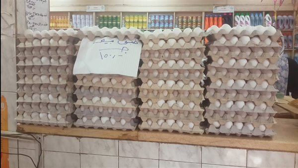 بعد الارتفاعات الأخيرة.. شعبة المواد الغذائية تشير إلى انخفاض ملحوظ في أسعار البيض وتوقعات بالاستقرار