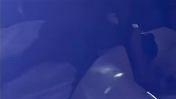 بيرقصون سلو.. لحظات سقوط المخرج هادي الباجوري وعروسته في حفل زفافهما