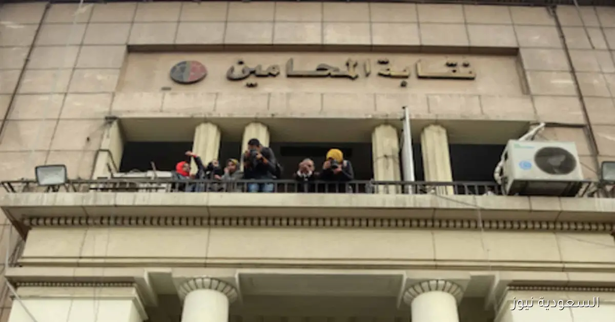 تجديد الكارنيهات والبطاقات العلاجية للمحامين لعام 2026 يبدأ في نوفمبر المقبل