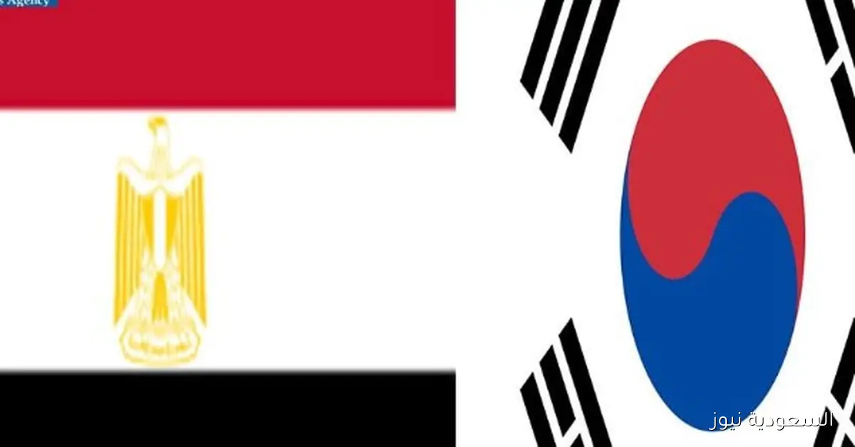 تعزيز الشراكة السياحية بين مصر وكوريا الجنوبية لتعميق التبادل الثقافي والاقتصادي
