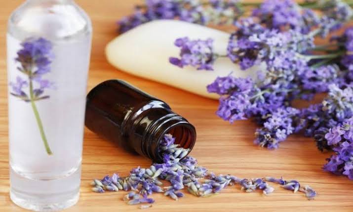 ثورة مصر الخضراء: النباتات الطبية والعطرية ودورها في التصدير والتنمية الريفية