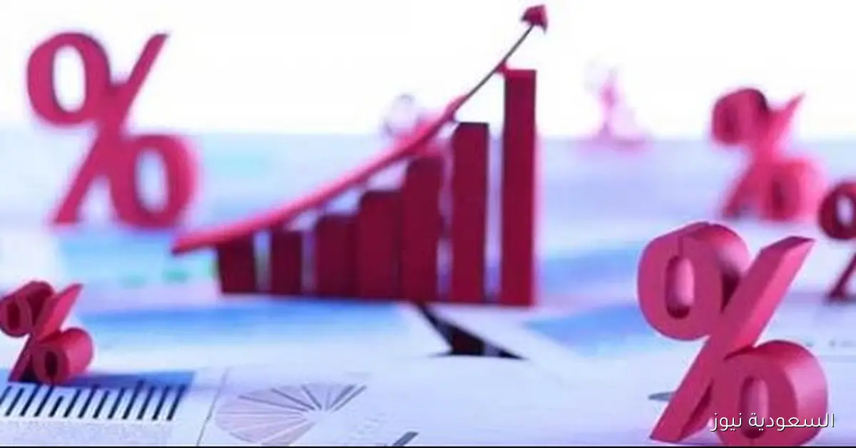 حازم المنوفي يؤكد أن خفض أسعار الفائدة يعزز حركة السوق