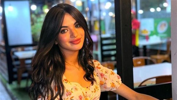 حبس سوزي الأردنية لمدة عام مع الشغل والنفاذ وغرامة 100 ألف جنيه ومصادرة المضبوطات