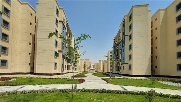 رئيس وحدة المدن المستدامة يعلن عن خطة لزيادة نصيب الفرد من المساحات الخضراء إلى 10 أمتار بحلول 2030