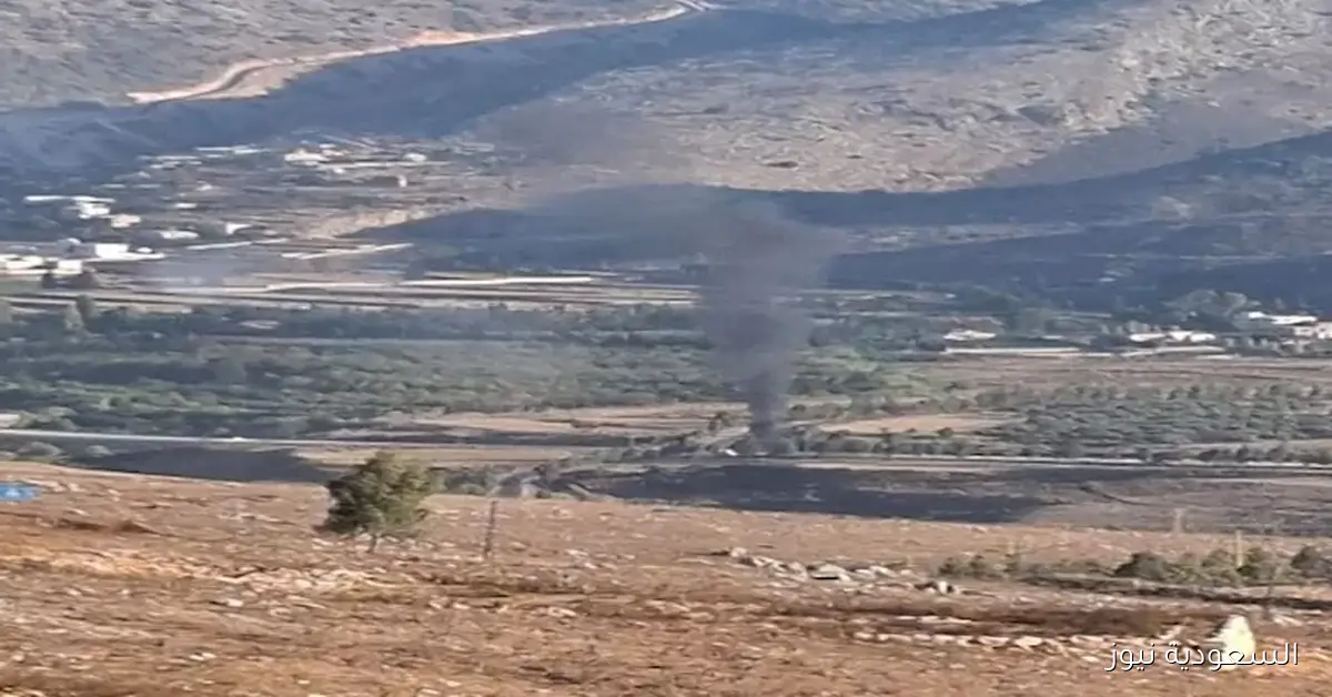 شهيدان وجريح جراء غارة إسرائيلية على سيارة في جنوب لبنان: تفاصيل وصور