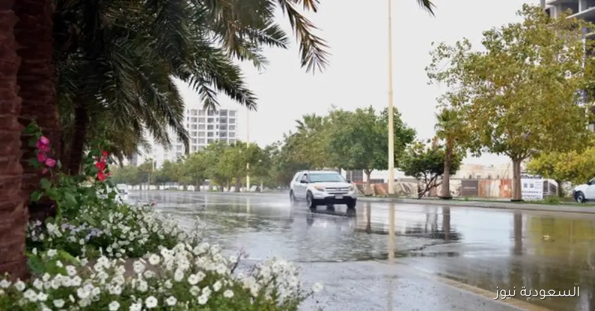 طقس المملكة اليوم: أمطار رعدية غزيرة تضرب السعودية