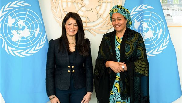 مصر تدعو لإصلاح المنظومة المالية الدولية ودعم الدول النامية