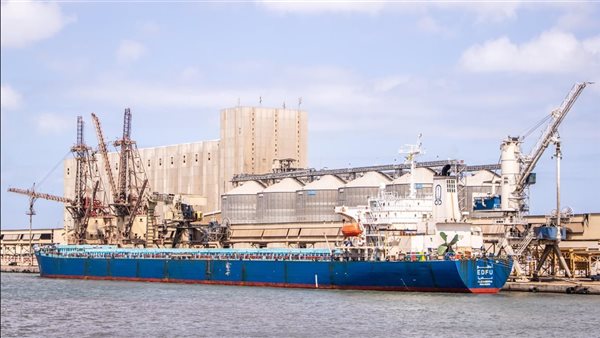 ميناء دمياط يستقبل 1767 رأس من الماشية و2718 طن من القمح