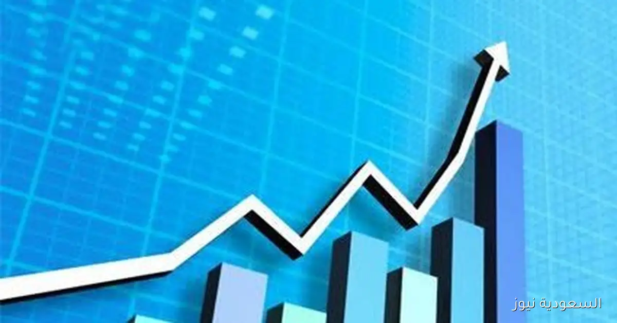 نمو ملحوظ في نشاط التأمين بمصر خلال النصف الأول من العام الحالي مع زيادة الأقساط بنسبة 30%