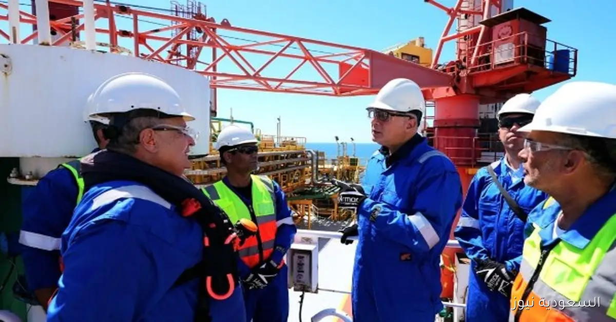 وزير البترول يؤكد أن اتفاقية حفر 3 آبار استكشافية بشمال سيناء تعكس ثقة الشركات العالمية في مناخ الاستثمار بمصر
