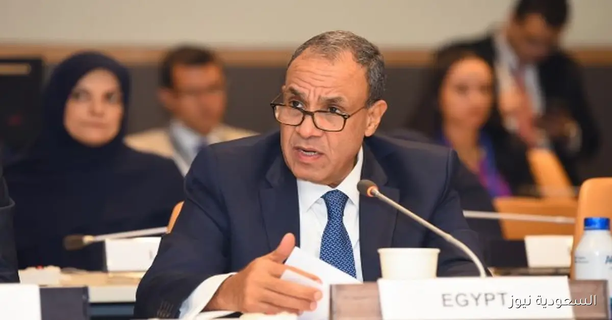 وزير الخارجية يؤكد أن مرشحنا قدم رؤية انتخابية شاملة ومتكاملة