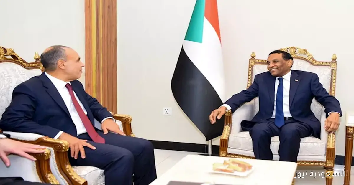 وزير الخارجية يؤكد التزام مصر بدعم سيادة ووحدة السودان