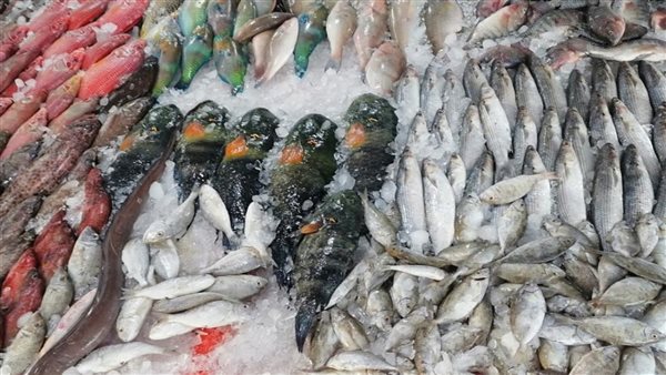 أسعار الأسماك اليوم الخميس 6 نوفمبر 2025: الجمبري بـ980 جنيهًا