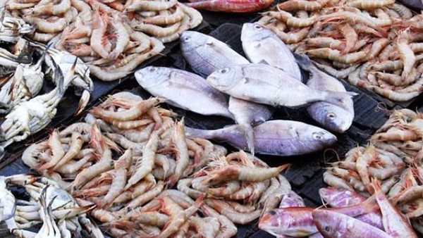 أسعار الأسماك في سوق العبور اليوم الثلاثاء 4 نوفمبر 2025