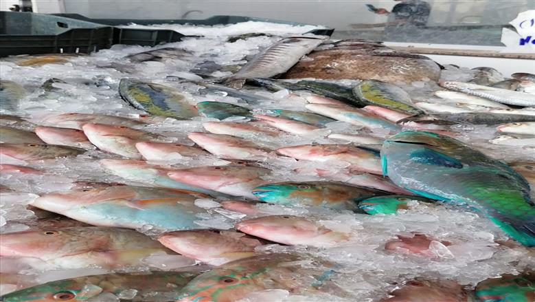 أسعار جميع أنواع الأسماك في سوق العبور اليوم الاثنين 24-11-2025
