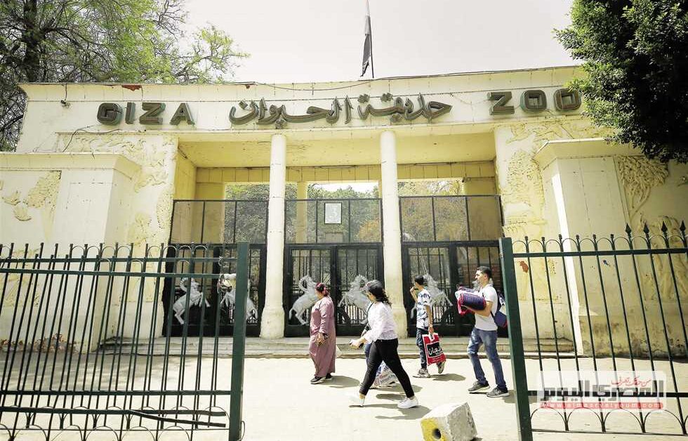 العد التنازلي بدأ.. حديقة الحيوان بالجيزة هتفتح أبوابها بعد التطوير الكامل