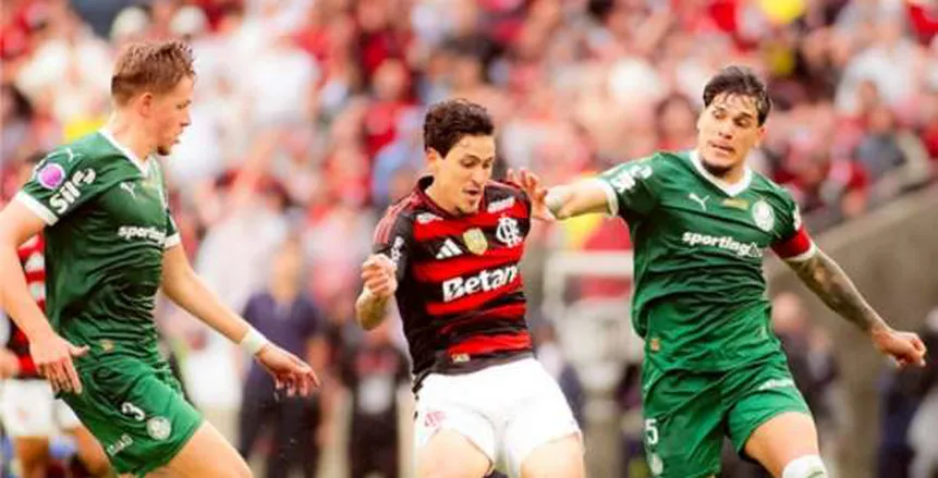 تابع البث المباشر لمباراة بالميراس وفلامنجو في نهائي ليبرتادوريس الآن دون انقطاع