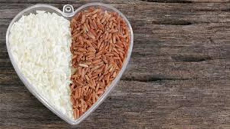 تطورات جديدة في سعر طن الأرز الشعير اليوم الأربعاء 26-11-2025