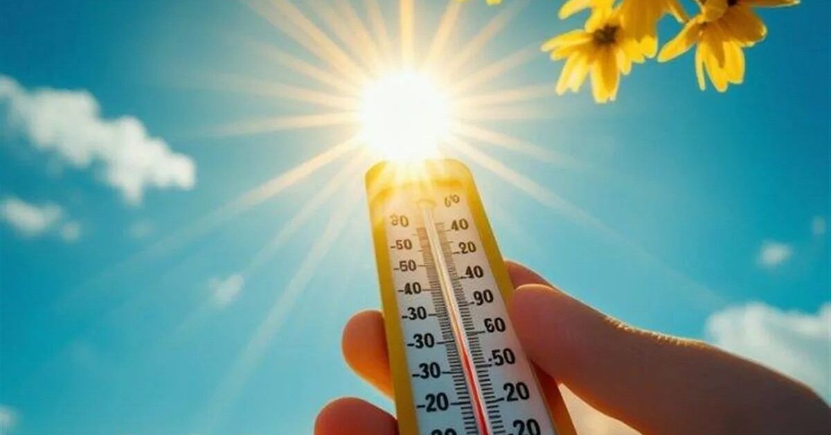 توقعات الطقس اليوم الأربعاء في مصر.. أجواء مستقرة وارتفاع تدريجي في درجات الحرارة خلال النهار