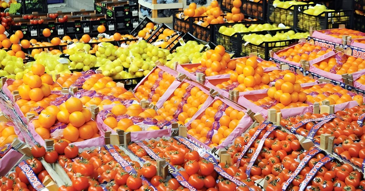 زيادة صادرات مصر الزراعية إلى 8.5 مليون طن بزيادة 700 ألف طن عن السنة الماضية