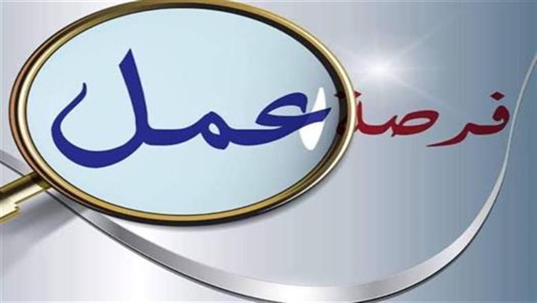 شروط التقديم لوظائف مديرية التعليم في سوهاج والمستندات اللازمة لذلك