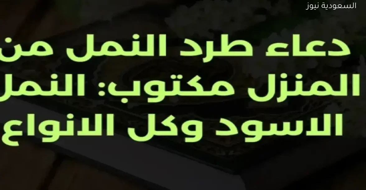 دعاء ورقي لطرد النمل من البيت بفعالية