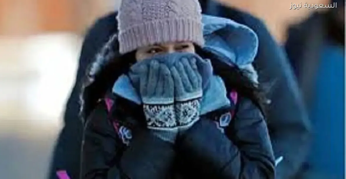 الأرصاد: طقس شديد البرودة وأمطار خفيفة على السواحل الشمالية غدًا