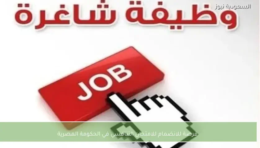 فرصة للانضمام للامتحان التنافسي في الحكومة المصرية