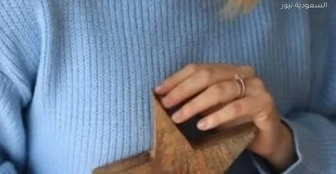 أبراج هتتألق في 2026.. برج الأسد يبرز بالإبداع والثقة