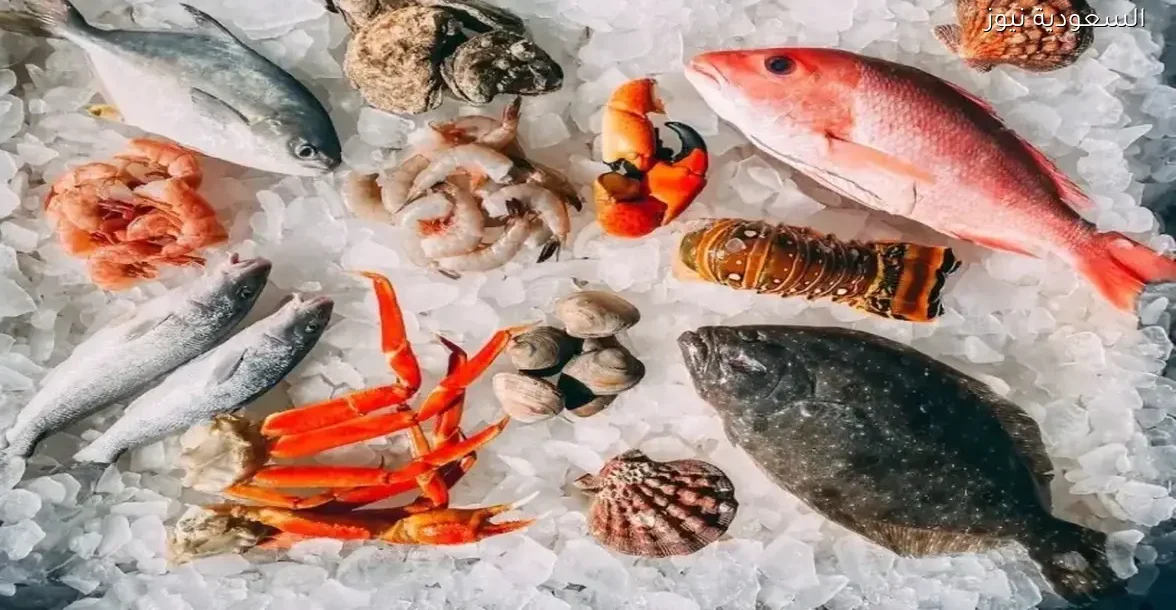 أسعار السمك اليوم 21 ديسمبر: تعرف على مفاجآت البوري والجمبري