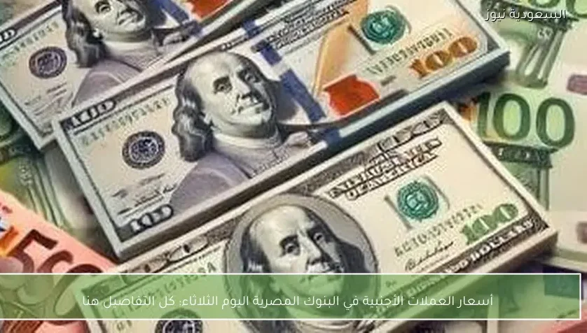 أسعار العملات الأجنبية في البنوك المصرية اليوم الثلاثاء: كل التفاصيل هنا