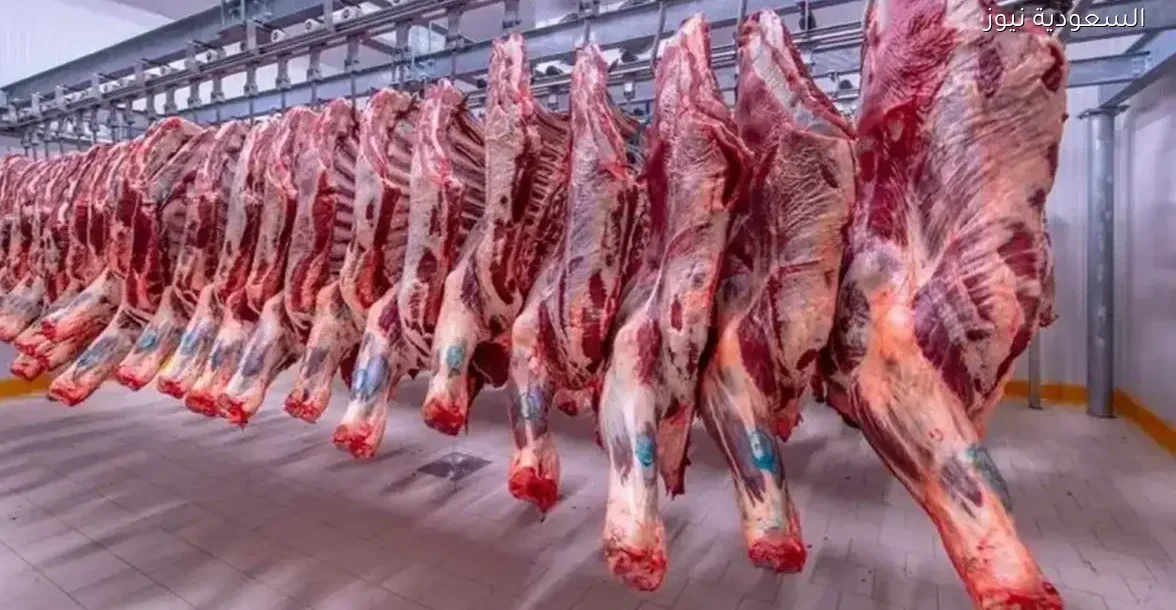 أسعار اللحوم البلدي والمستوردة: أيهما أفضل للشراء من المجمعات والجزارة؟