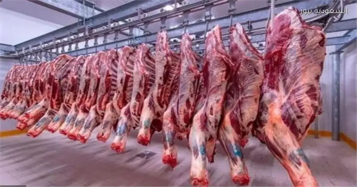 أسعار اللحوم اليوم: ارتفاع ملحوظ في أسعار الضاني الاثنين 15 ديسمبر 2025