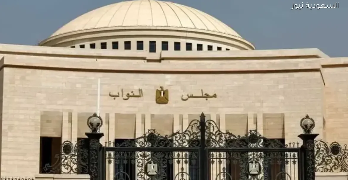 احسم صوتك اليوم في جولة القليوبية 2025 واغتنم الفرصة الأخيرة