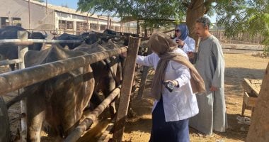 السعودية نيوز : حملات تطعيم.. هكذا تحارب الدولة حمى الوادى المتصدع لحماية الثروة الحيوانية