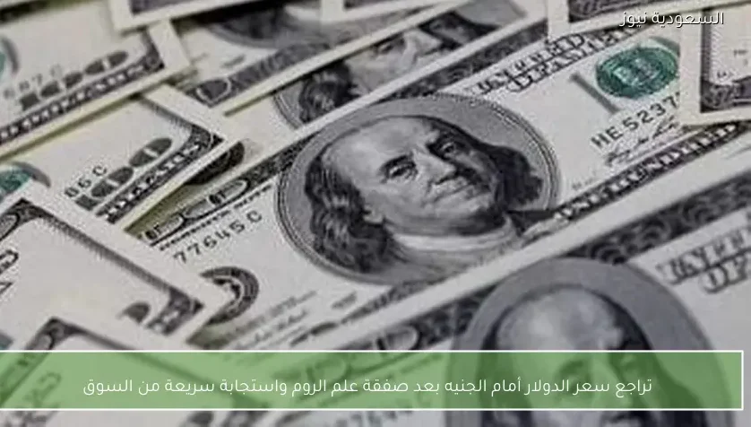 تراجع سعر الدولار أمام الجنيه بعد صفقة علم الروم واستجابة سريعة من السوق