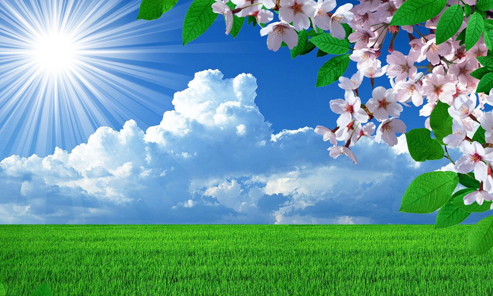 توقعات حالة الطقس اليوم الثلاثاء 2 ديسمبر 2025 في مصر.. جو معتدل خلال النهار ويميل للبرودة في الليل