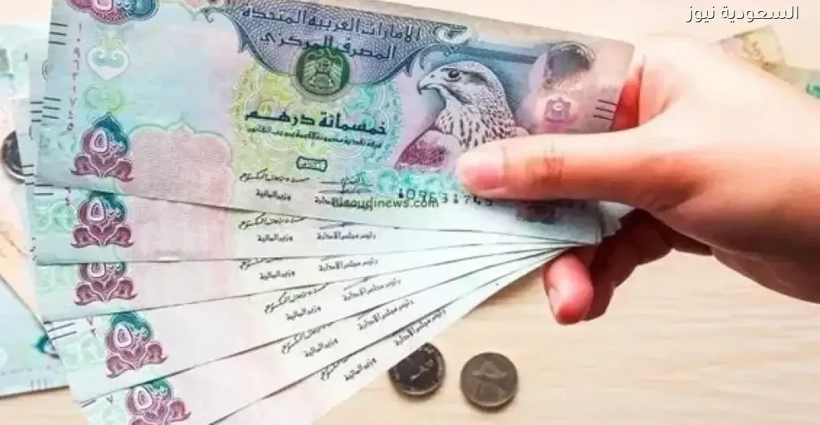 سعر الدرهم الإماراتي في البنوك المصرية اليوم الخميس 18 ديسمبر 2025