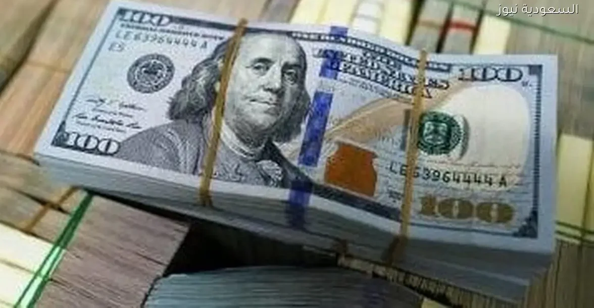 سعر الدولار اليوم السبت 27 ديسمبر 2025 في البنك المركزي 47.53 جنيه