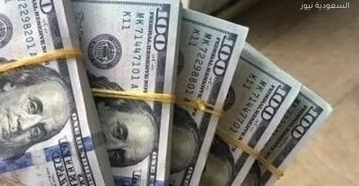 سعر الدولار مقابل الجنيه المصري اليوم السبت 27 ديسمبر 2025 في البنوك